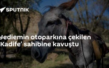 Kadife