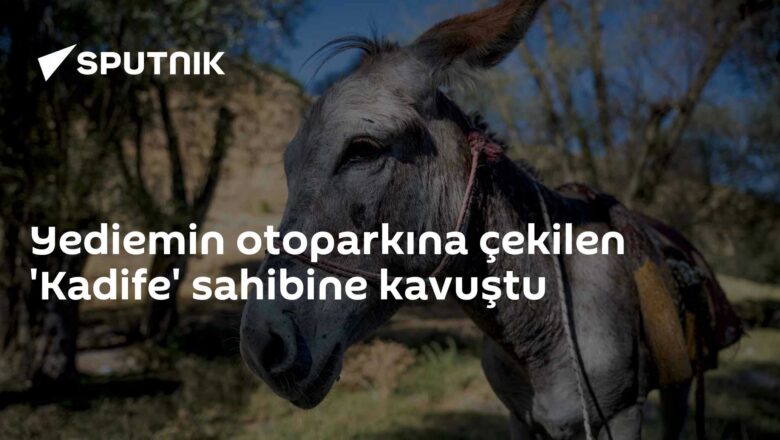 Kadife