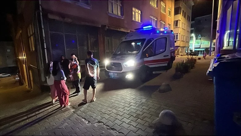 sinek ilacı